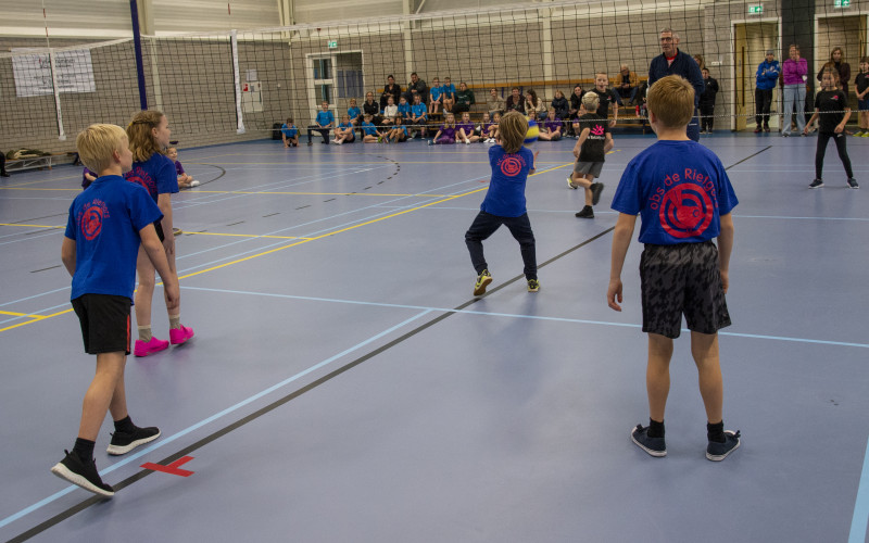 Volleybaltoernooi groep 5/6